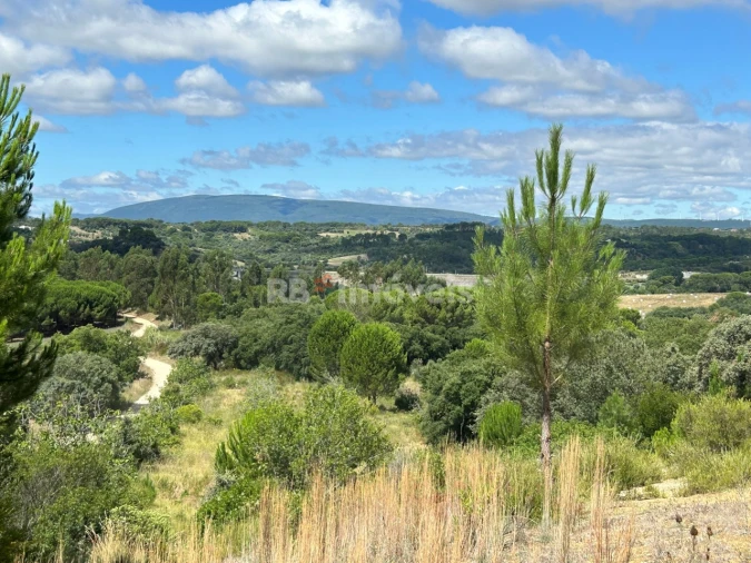 Terreno para Venda em Madalena e Beselga Foto 3