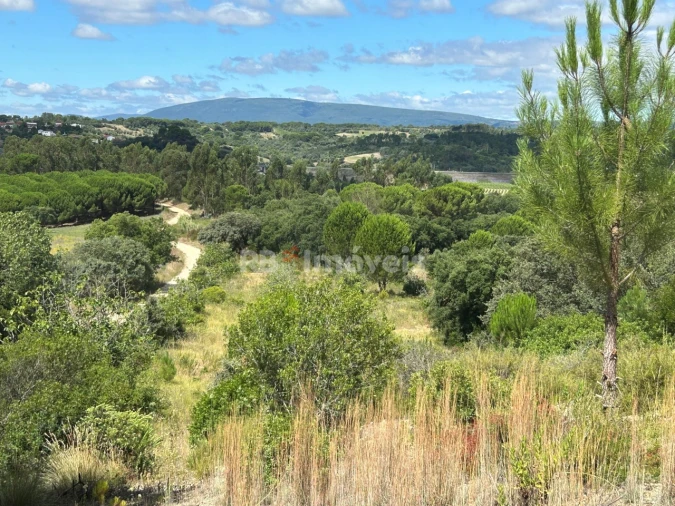 Terreno para Venda em Madalena e Beselga Foto 16