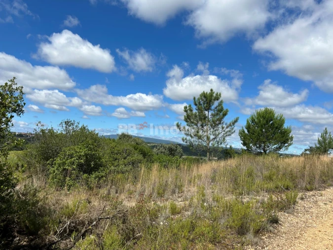 Terreno para Venda em Madalena e Beselga Foto 17