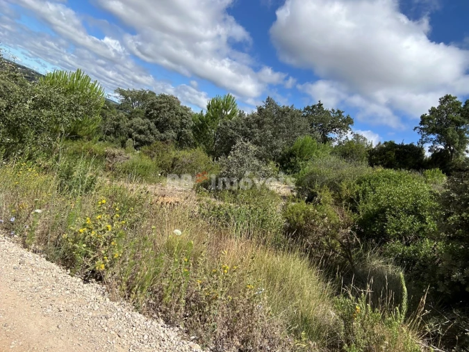 Terreno para Venda em Madalena e Beselga Foto 19
