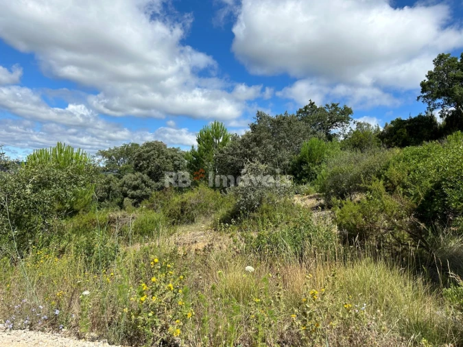 Terreno para Venda em Madalena e Beselga Foto 20