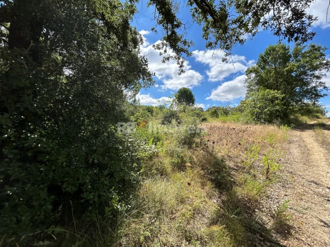 Terreno para Venda em Madalena e Beselga Foto 33
