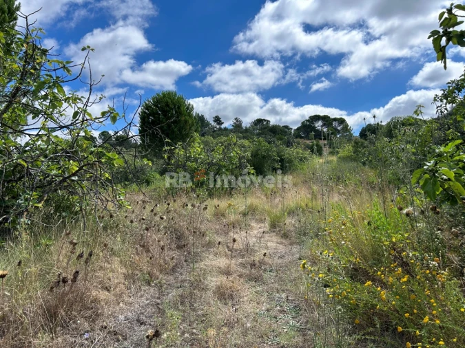 Terreno para Venda em Madalena e Beselga Foto 41