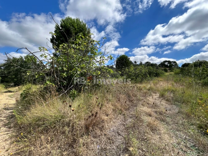 Terreno para Venda em Madalena e Beselga Foto 42
