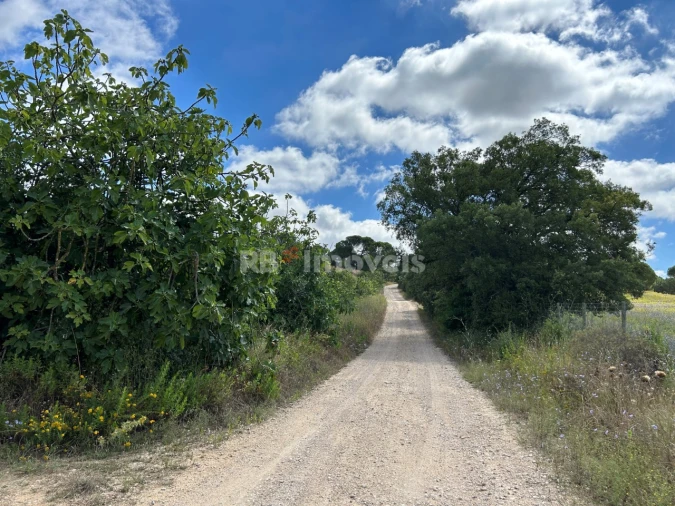 Terreno para Venda em Madalena e Beselga Foto 43