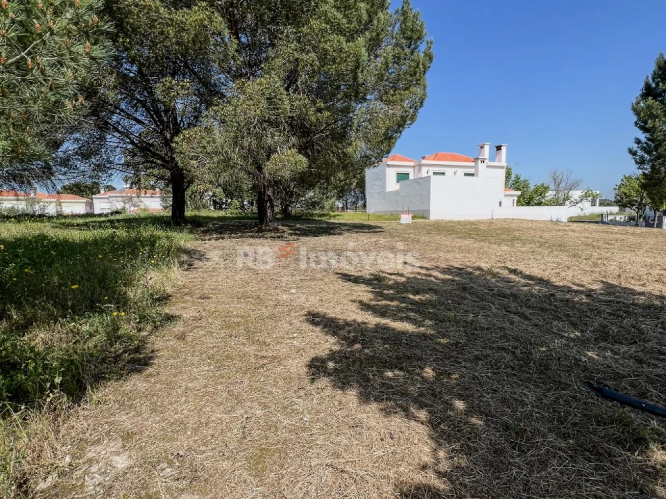 Terreno para Venda em Nossa Sra de Fatima Foto 3