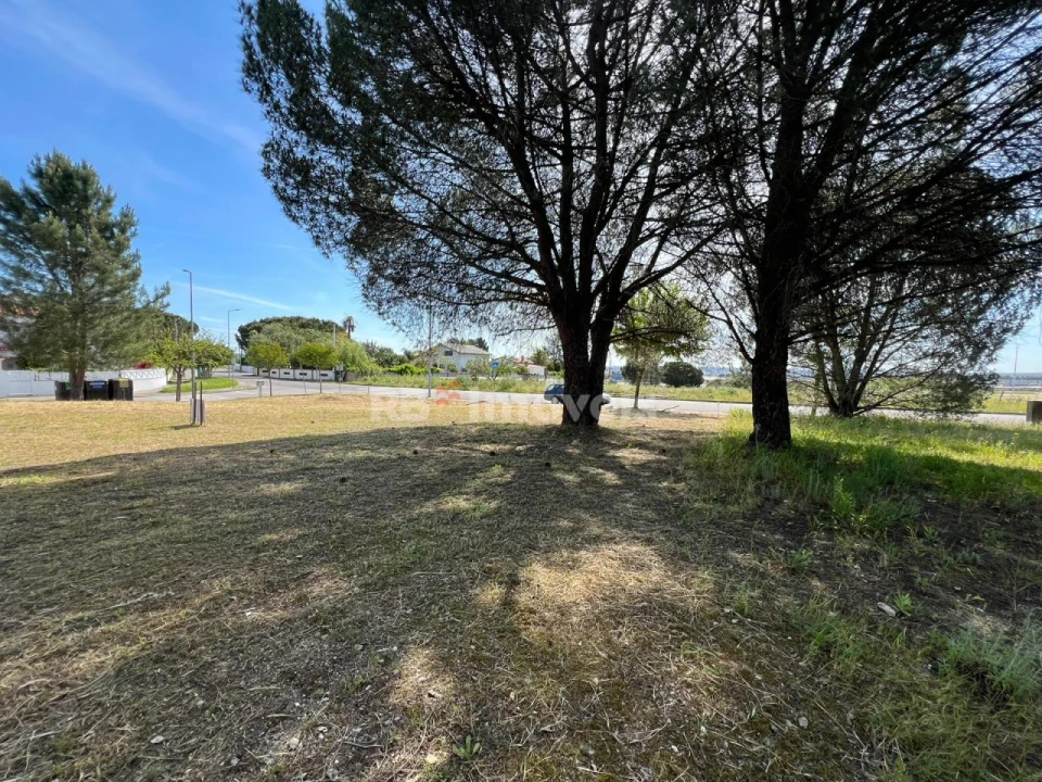 Terreno para Venda em Nossa Sra de Fatima Foto 8
