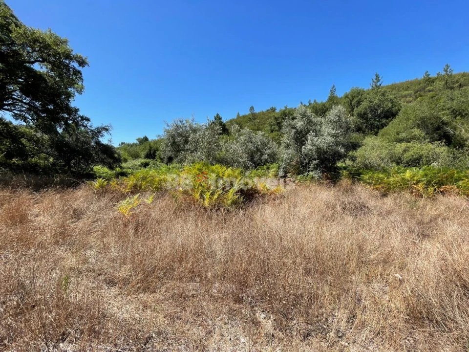 Terreno Agricola ou Rústico para Venda em Gavião e Atalaia Foto 2