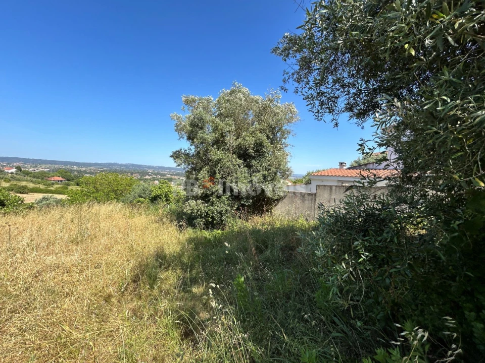 Terreno para Venda em São João Baptista e Santa Maria dos Olivais Foto 23