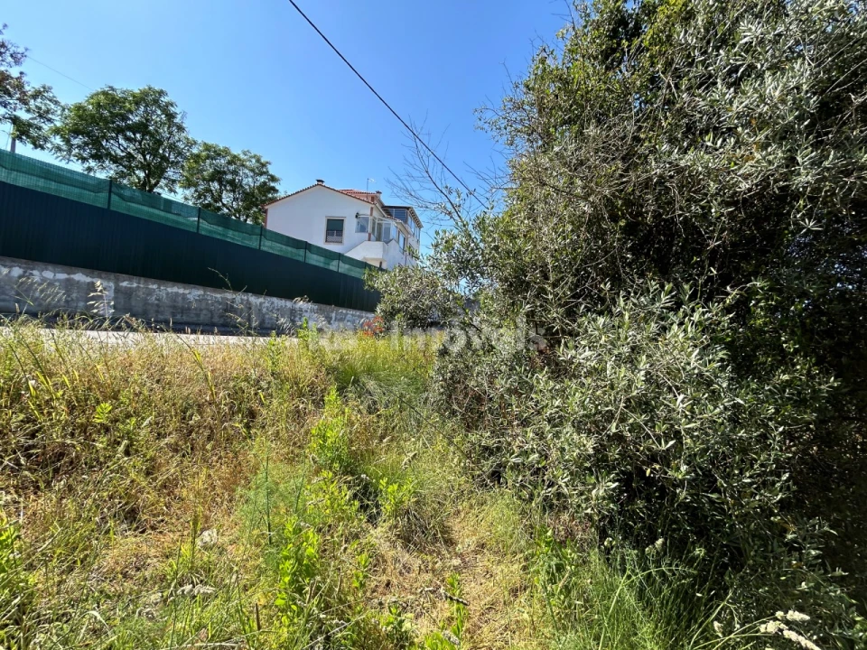 Terreno para Venda em São João Baptista e Santa Maria dos Olivais Foto 20