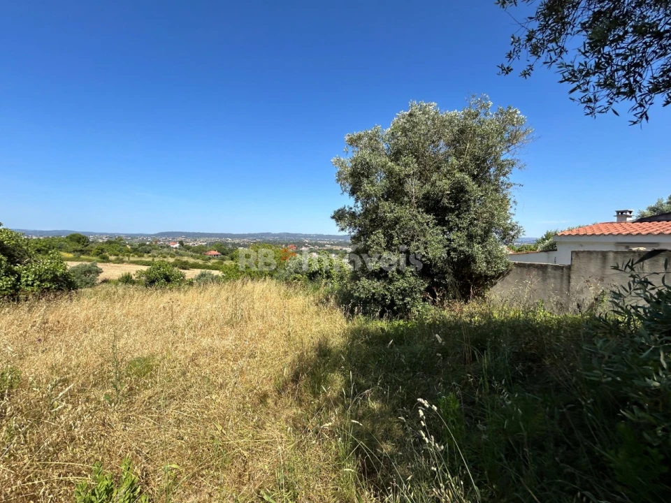 Terreno para Venda em São João Baptista e Santa Maria dos Olivais Foto 25