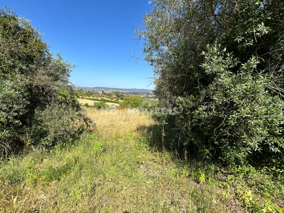 Terreno para Venda em São João Baptista e Santa Maria dos Olivais Foto 21