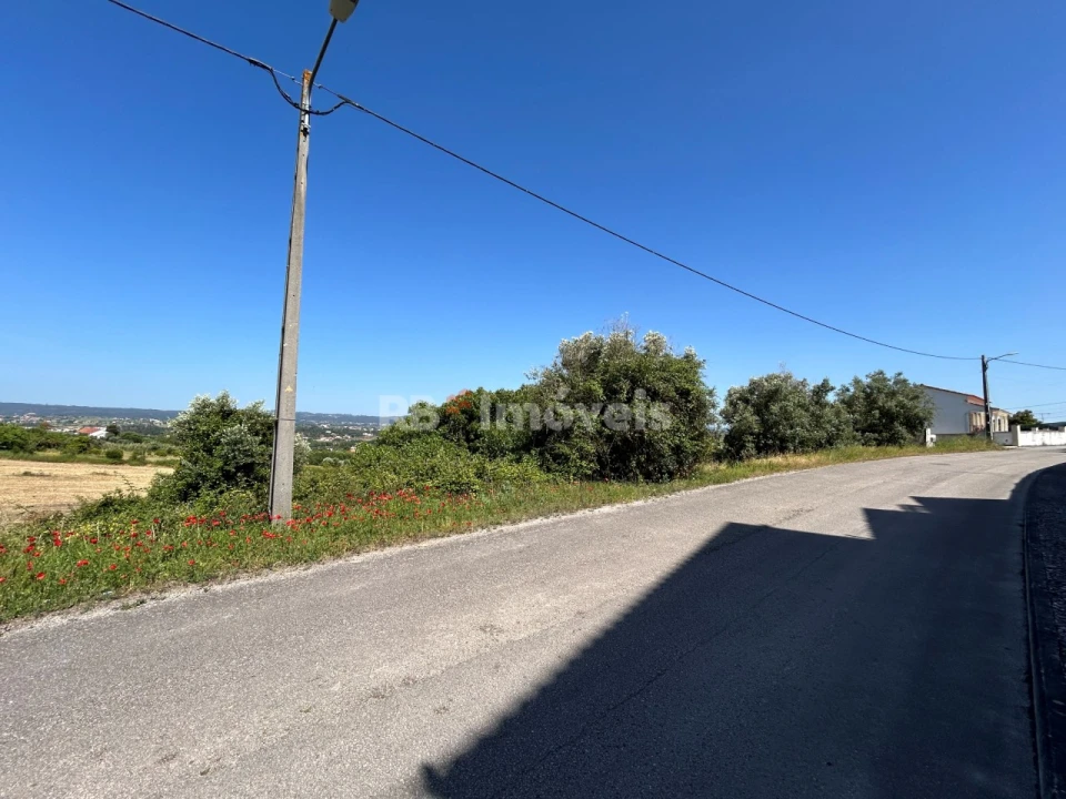 Terreno para Venda em São João Baptista e Santa Maria dos Olivais Foto 30