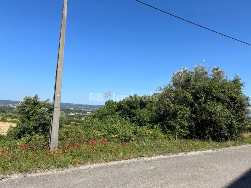 Terreno para Venda em São João Baptista e Santa Maria dos Olivais Foto 31
