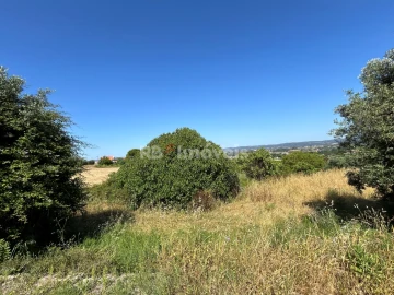 Terreno para Venda em São João Baptista e Santa Maria dos Olivais