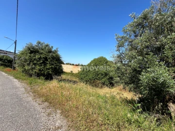 Terreno para Venda em São João Baptista e Santa Maria dos Olivais