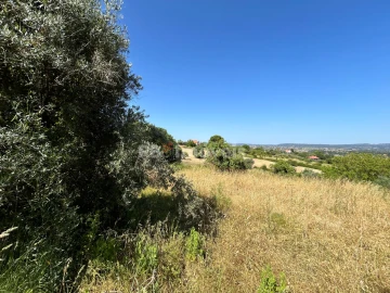 Terreno para Venda em São João Baptista e Santa Maria dos Olivais