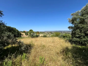 Terreno para Venda em São João Baptista e Santa Maria dos Olivais
