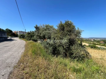 Terreno para Venda em São João Baptista e Santa Maria dos Olivais