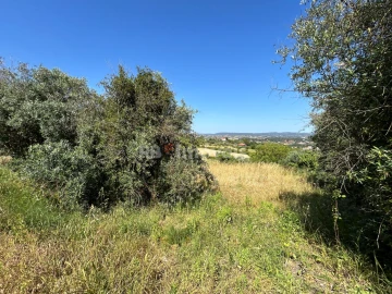 Terreno para Venda em São João Baptista e Santa Maria dos Olivais