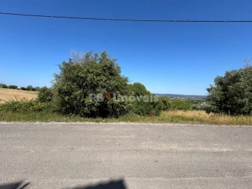 Terreno para Venda em São João Baptista e Santa Maria dos Olivais