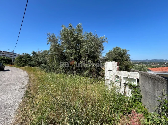 Terreno para Venda em São João Baptista e Santa Maria dos Olivais Foto 16