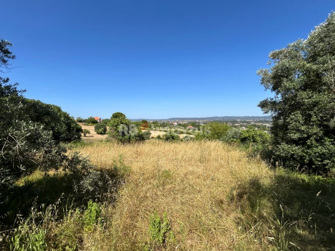 Terreno para Venda em São João Baptista e Santa Maria dos Olivais Foto 2