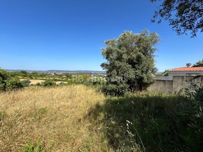 Terreno para Venda em São João Baptista e Santa Maria dos Olivais Foto 25