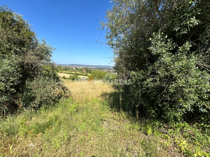 Terreno para Venda em São João Baptista e Santa Maria dos Olivais Foto 21