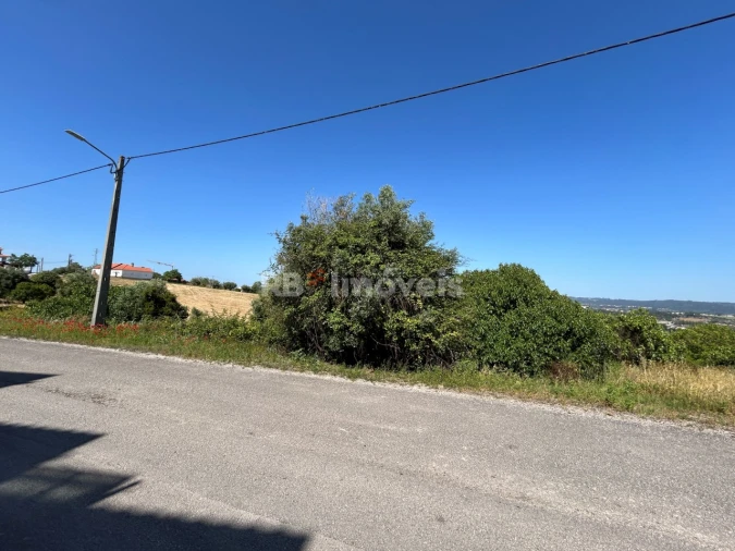 Terreno para Venda em São João Baptista e Santa Maria dos Olivais Foto 27