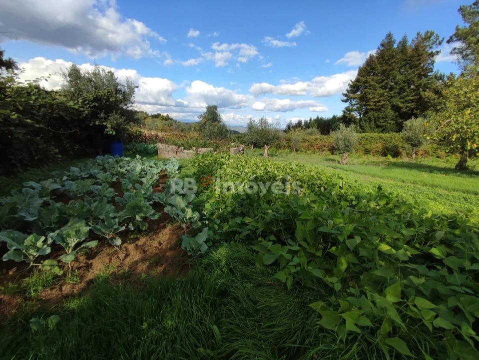 Quinta T3 para Venda em Nossa Senhora do Pranto Foto 30