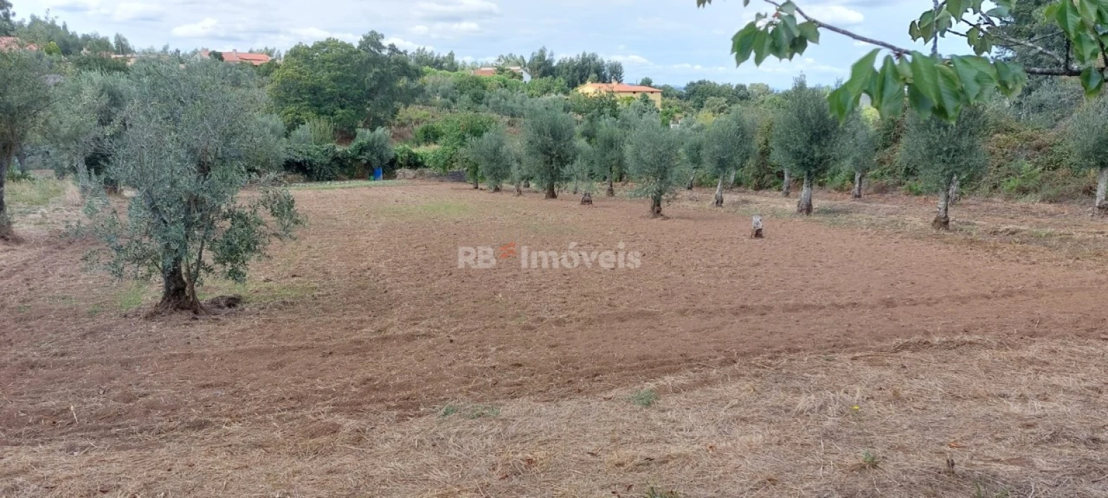 Quinta T3 para Venda em Nossa Senhora do Pranto Foto 39