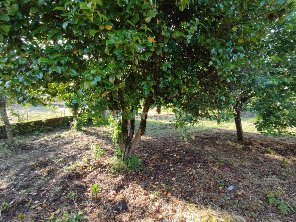 Quinta T3 para Venda em Nossa Senhora do Pranto Foto 31