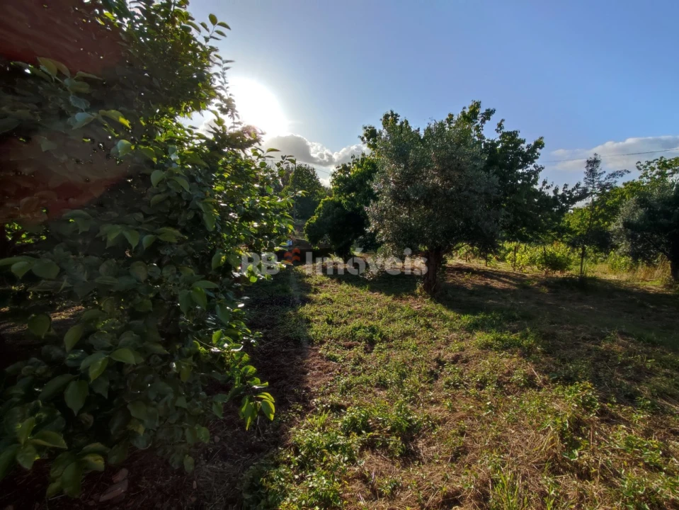 Quinta T3 para Venda em Nossa Senhora do Pranto Foto 32