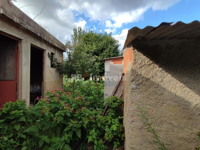 Quinta T3 para Venda em Nossa Senhora do Pranto Foto 13