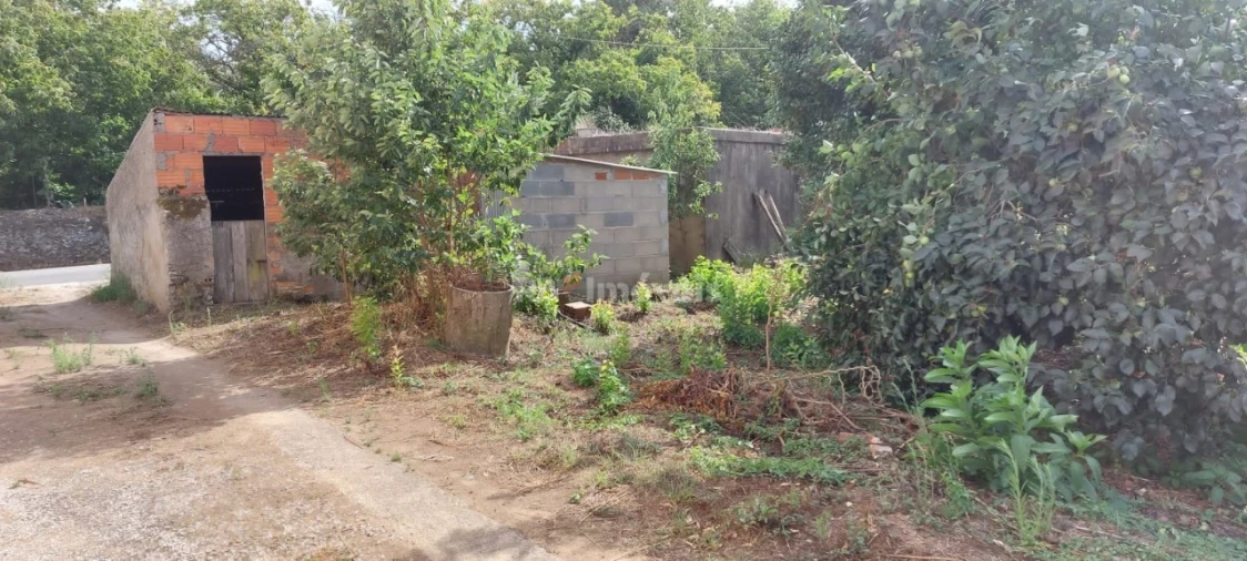 Quinta T3 para Venda em Nossa Senhora do Pranto Foto 29