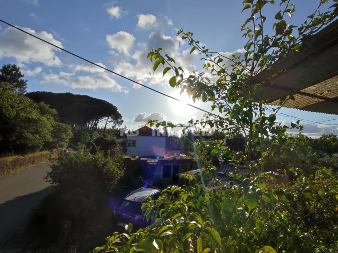 Quinta T3 para Venda em Nossa Senhora do Pranto Foto 5