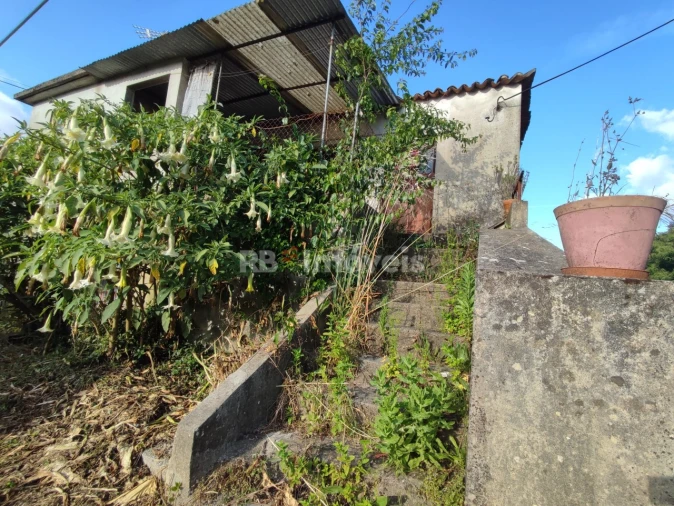 Quinta T3 para Venda em Nossa Senhora do Pranto Foto 3