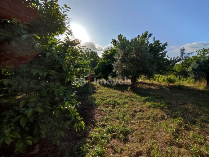 Quinta T3 para Venda em Nossa Senhora do Pranto Foto 32