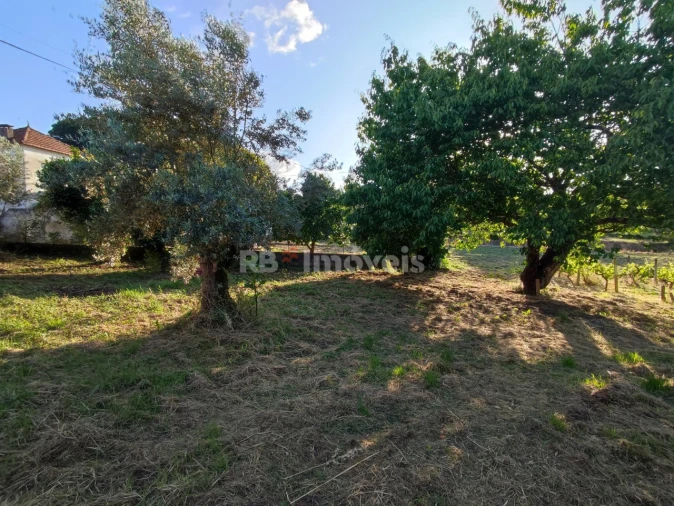 Quinta T3 para Venda em Nossa Senhora do Pranto Foto 35