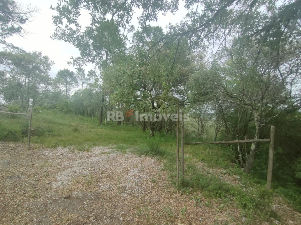 Terreno Agricola ou Rústico para Venda em Além da Ribeira e Pedreira Foto 2