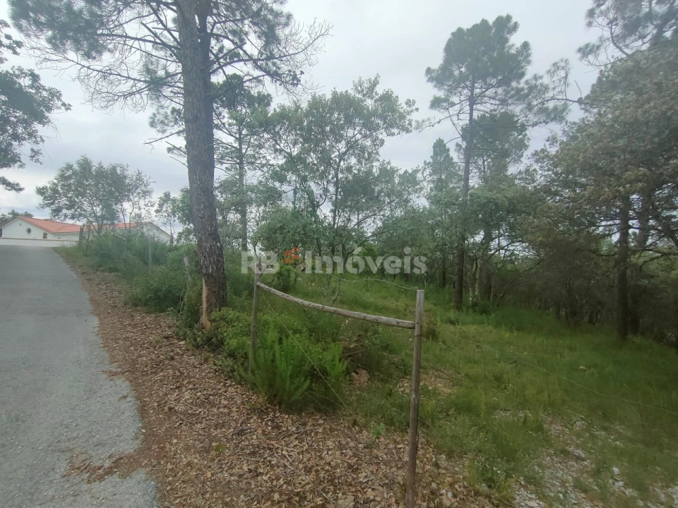 Terreno Agricola ou Rústico para Venda em Além da Ribeira e Pedreira Foto 1