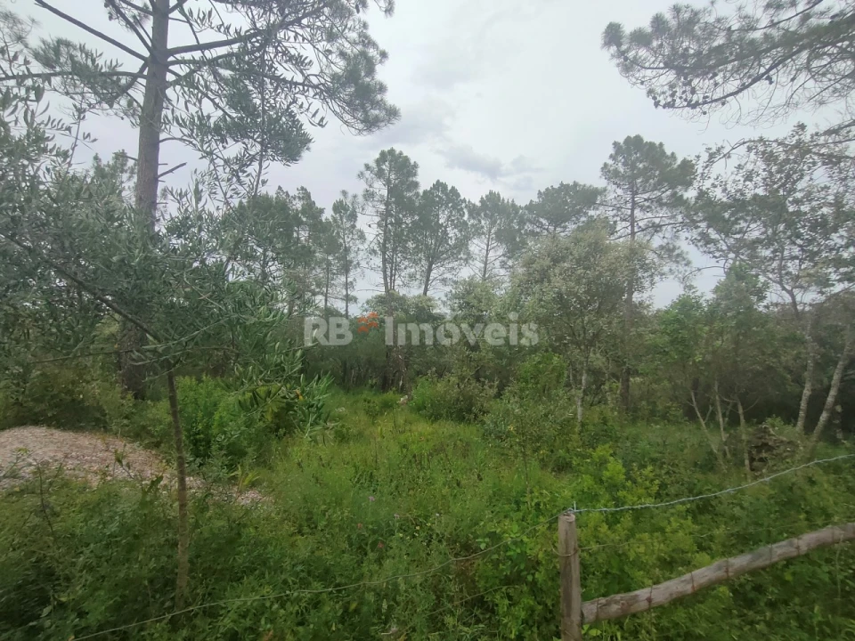 Terreno Agricola ou Rústico para Venda em Além da Ribeira e Pedreira Foto 14