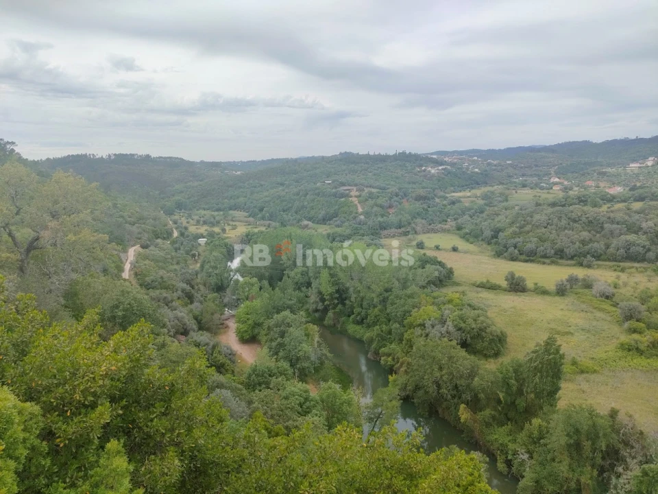 Terreno Agricola ou Rústico para Venda em Além da Ribeira e Pedreira Foto 3