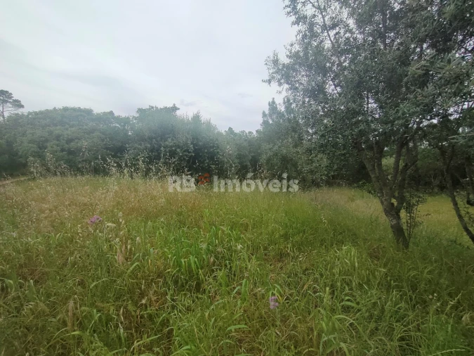 Terreno Agricola ou Rústico para Venda em Além da Ribeira e Pedreira Foto 7