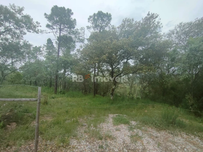 Terreno Agricola ou Rústico para Venda em Além da Ribeira e Pedreira Foto 12