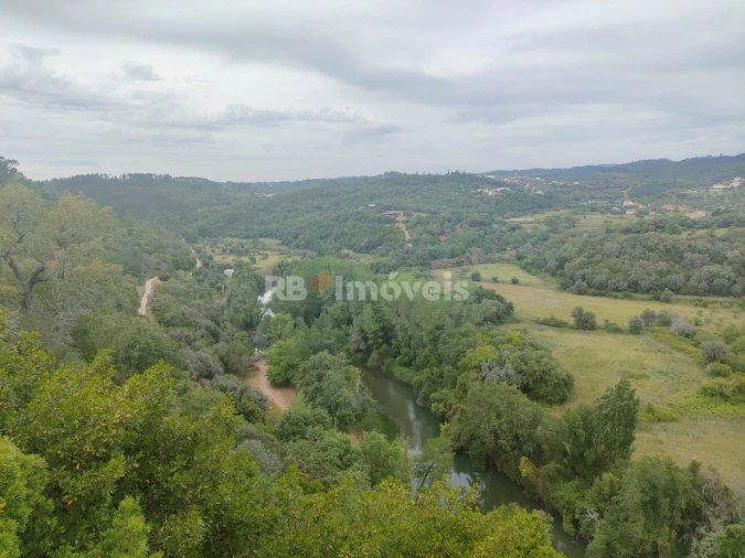Terreno Agricola ou Rústico para Venda em Além da Ribeira e Pedreira Foto 3
