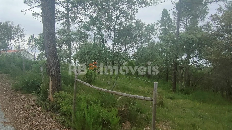 Terreno Agricola ou Rústico para Venda em Além da Ribeira e Pedreira