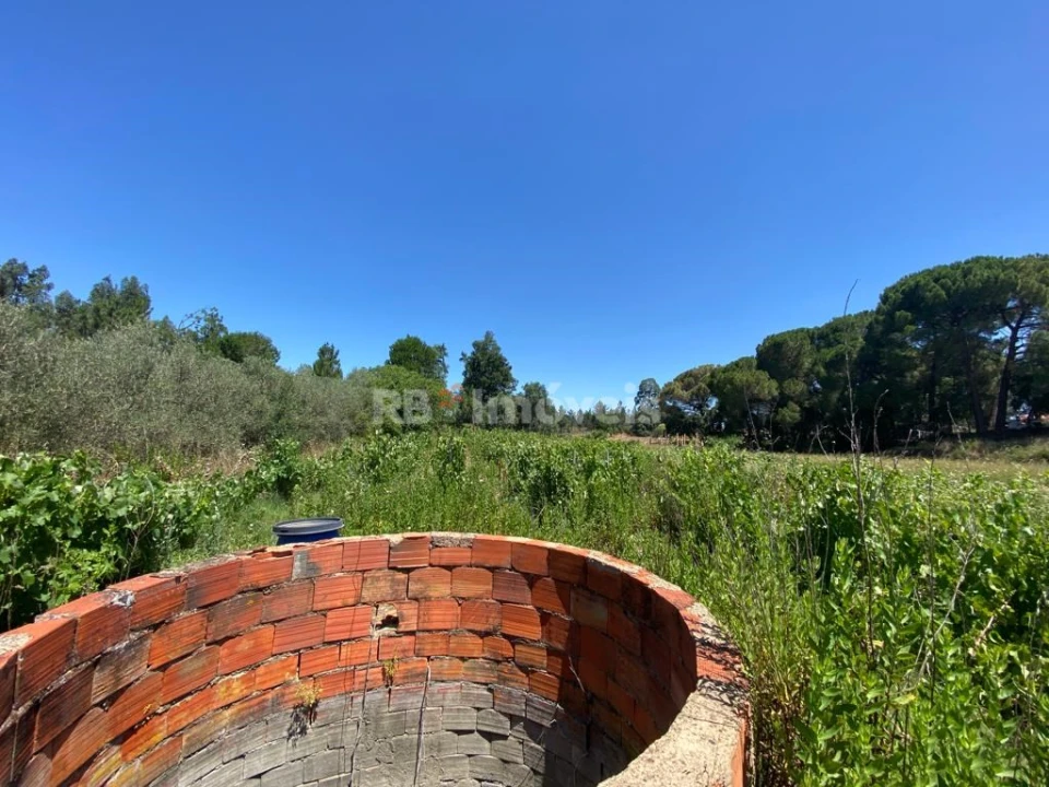 Terreno Agricola ou Rústico para Venda em São João Baptista e Santa Maria dos Olivais Foto 1