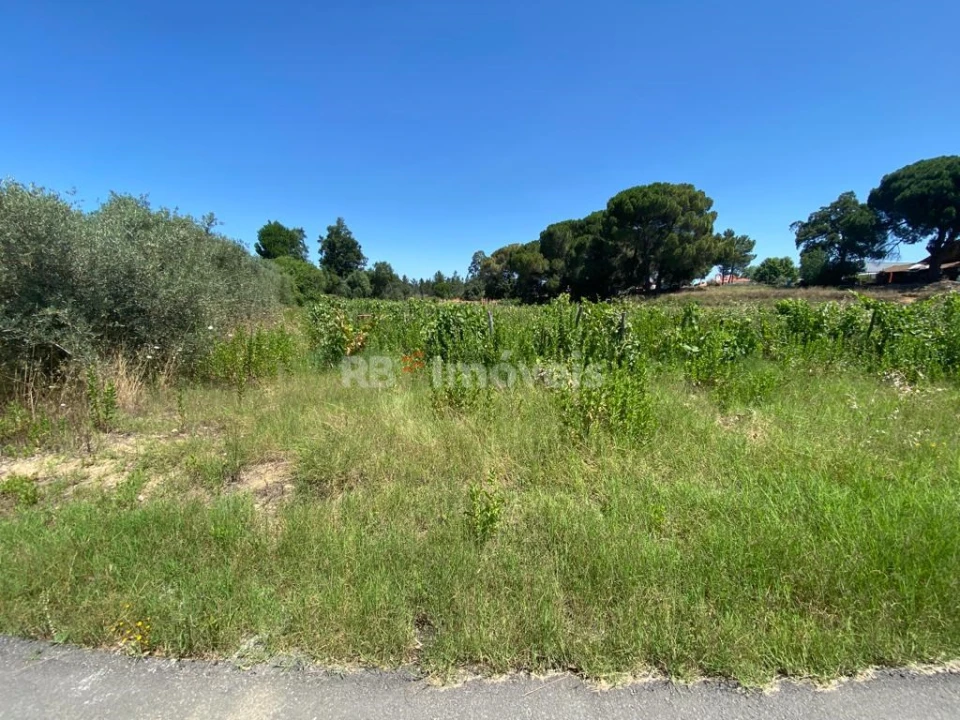Terreno Agricola ou Rústico para Venda em São João Baptista e Santa Maria dos Olivais Foto 2